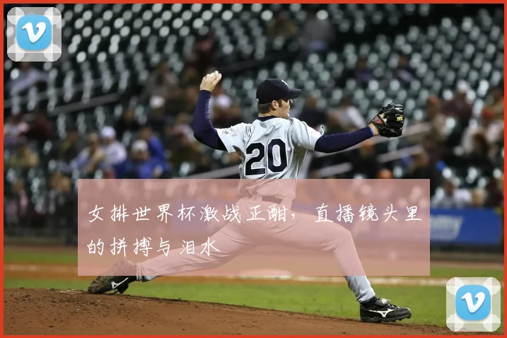 女排世界杯激战正酣,直播镜头里的拼搏与泪水