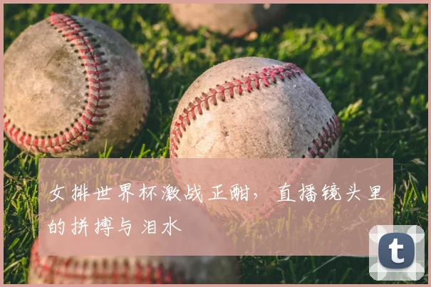 女排世界杯激战正酣,直播镜头里的拼搏与泪水
