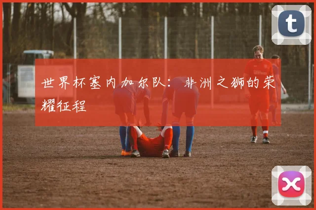 世界杯塞内加尔队：非洲之狮的荣耀征程