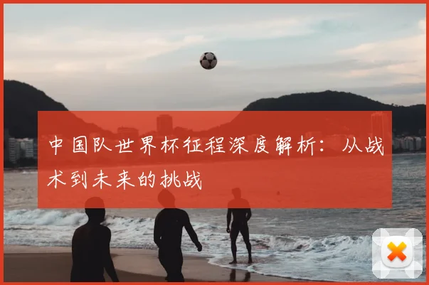 中国队世界杯征程深度解析：从战术到未来的挑战