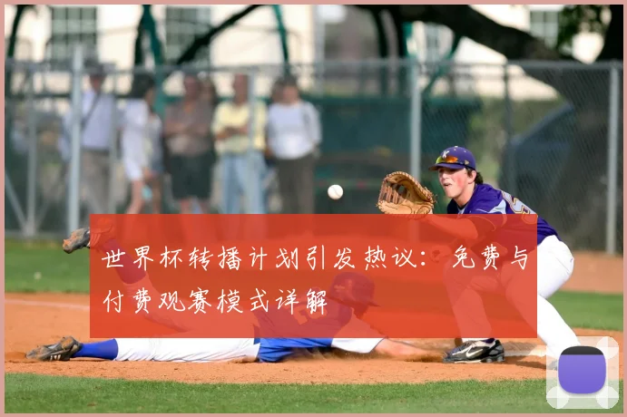 世界杯转播计划引发热议:免费与付费观赛模式详解